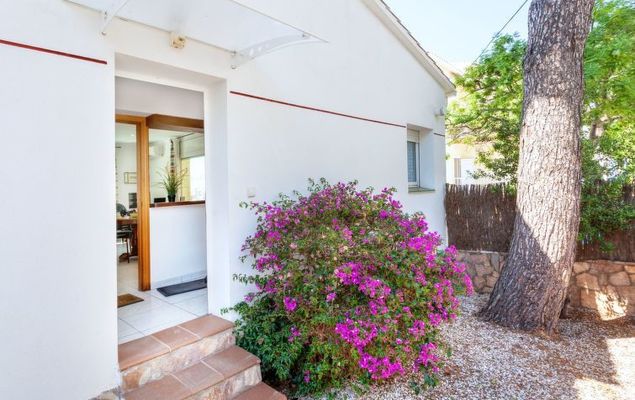 La Chumberita - Photo 10