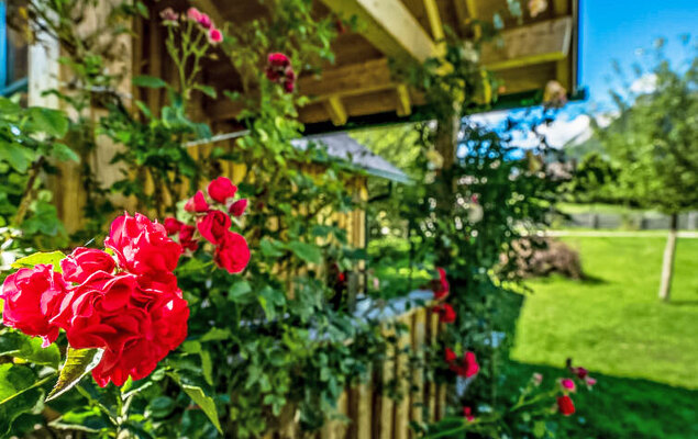 Bad Aussee - Photo 27