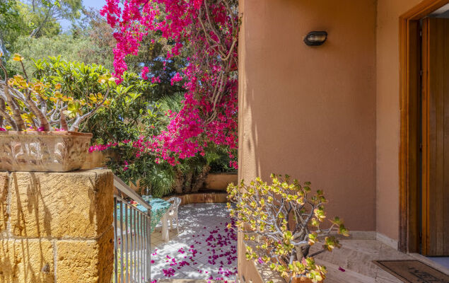 Cicladi Mikonos - Photo 20