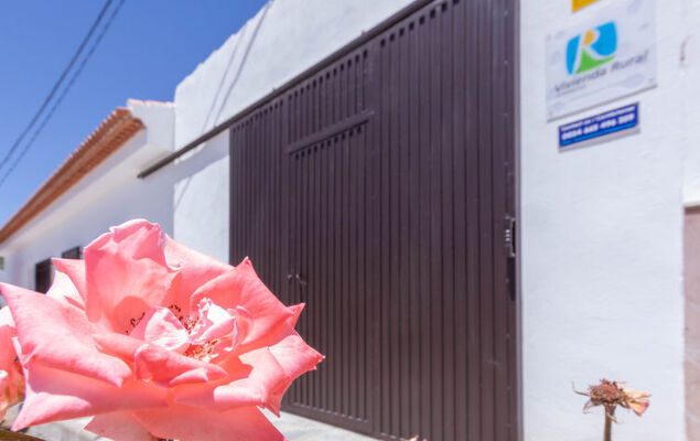 Rural Cacin - Photo 27