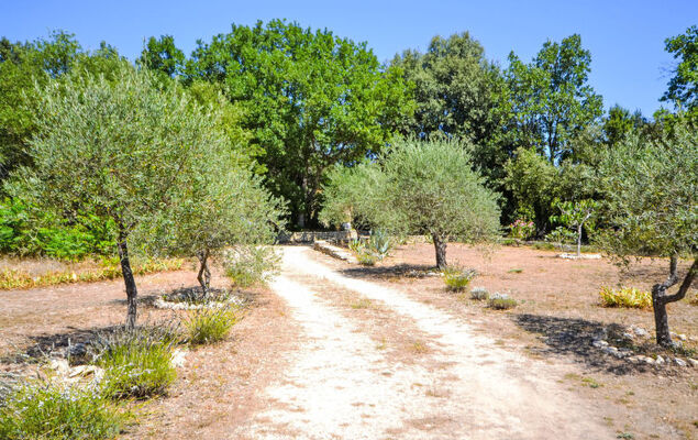 Le Bois d'Amour - Photo 13