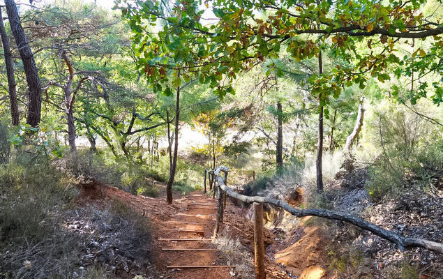 La Colline des Ocres - Photo 15