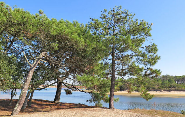 Corsaires - Photo 30