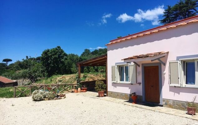 Albero di Giada - Photo 2