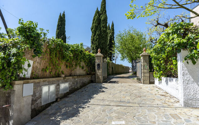 Albero di Giada - Photo 44