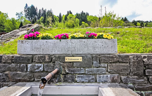 Ainhauser - Photo 11